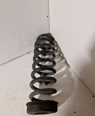 Rear coil spring
