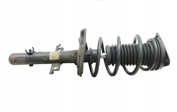 Renault Kadjar Front shock absorber/damper 543034FA3A