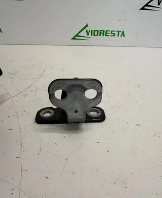 Rear door lower hinge