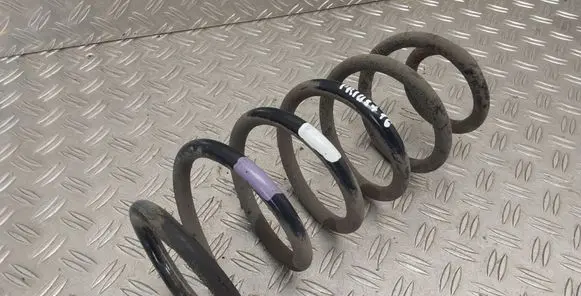 Rear coil spring