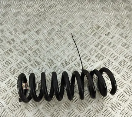 Dodge Charger Rear coil spring 4895583AA