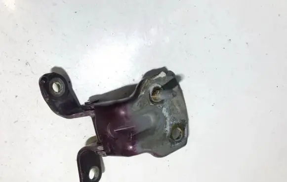 Mazda Xedos 6 Rear door lower hinge