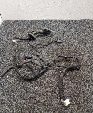 BMW i4 Rear door wiring loom 5A4EED8