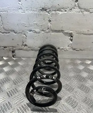 Volkswagen PASSAT B8 Rear coil spring