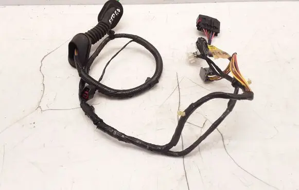 Front door wiring loom