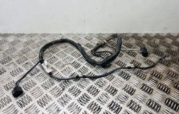 Volkswagen PASSAT B7 Wires (generator/alternator) 3C0971230FE