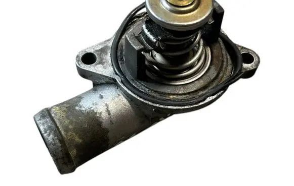 Thermostat/thermostat housing