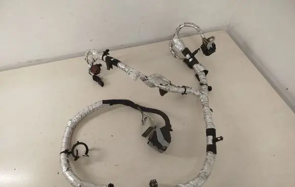 Other wiring loom