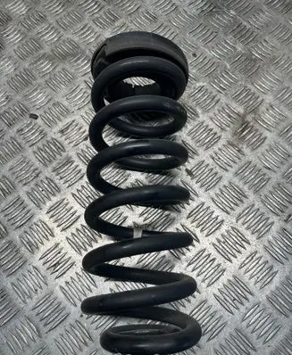 Rear coil spring