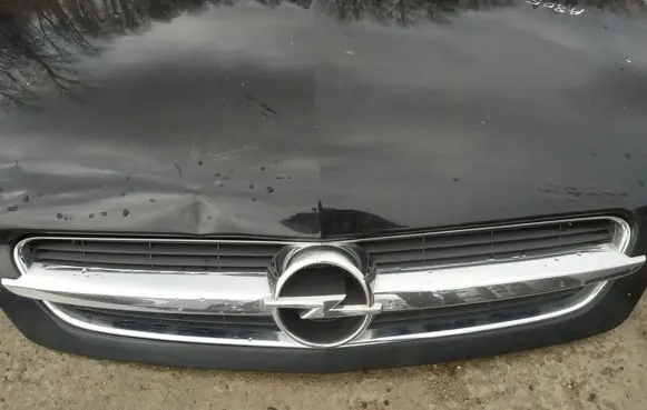 Opel Signum Front grill