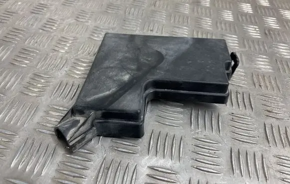 Renault Koleos I Fuse box cover 318965027