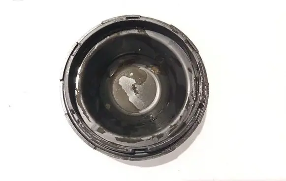 Volkswagen Golf V Headlight/headlamp dust cover 20a317p1