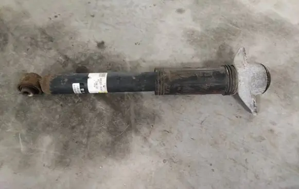 Lexus UX Rear shock absorber/damper 4853076180