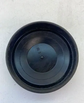 Volkswagen PASSAT B6 Headlight/headlamp dust cover 153873