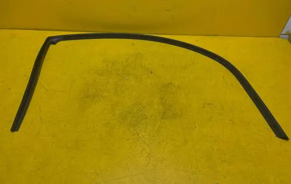 Renault Modus Rubber seal rear door 
