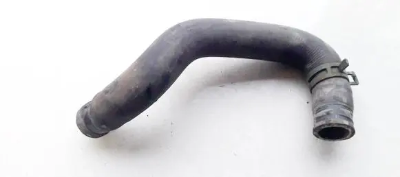 Renault Scenic I Engine coolant pipe/hose