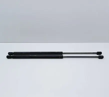 Tailgate/trunk strut/damper
