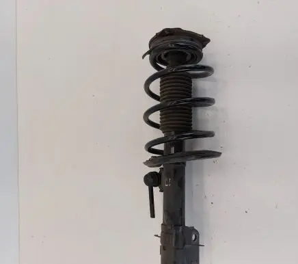 Nissan Leaf II (ZE1) Front shock absorber with coil spring