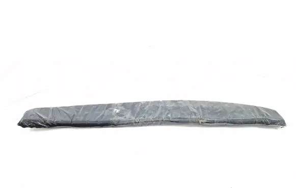 Renault Scenic III - Grand scenic III Fender foam support/seal 