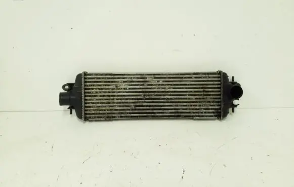 Nissan Primastar Intercooler radiator 93850451