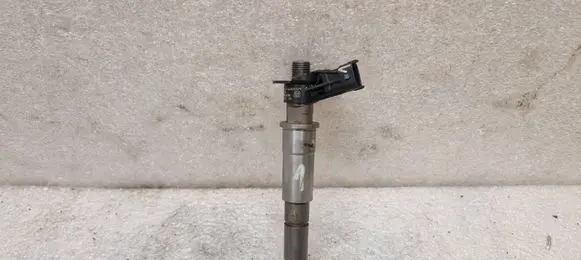Renault Laguna III Fuel injector 0445115084 141031
