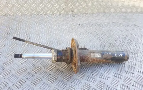 Volkswagen PASSAT B6 Front shock absorber/damper 3C0413031AE