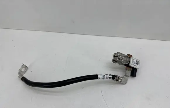 BMW 5 G30 G31 G38 Negative earth cable (battery) 6840519