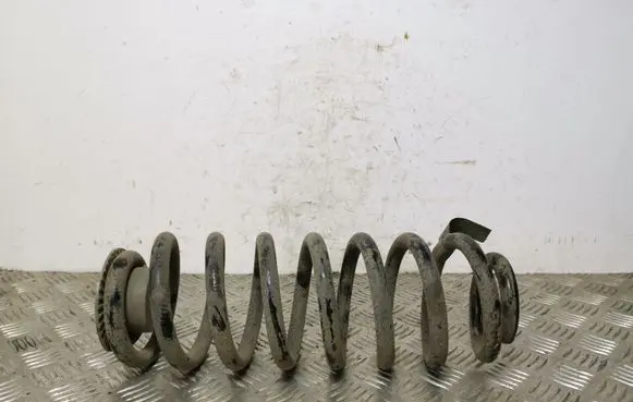 Jeep Cherokee Rear coil spring 7882AB