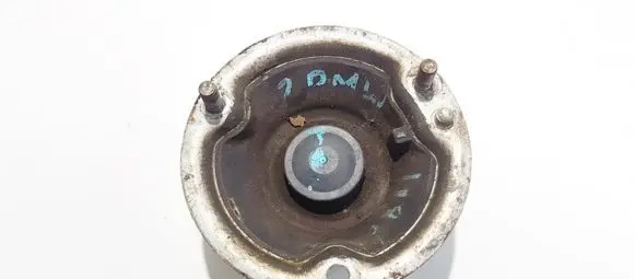 Coil spring mount