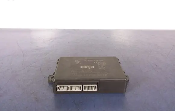 Land Rover Range Rover Evoque L538 Other control units/modules DPLA-19H440-AB
