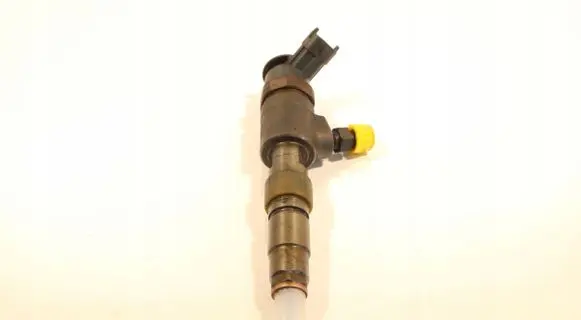 Citroen C3 Fuel injector 0445110339