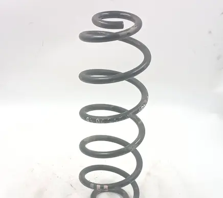Rear coil spring