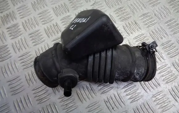 Hyundai i20 (PB PBT) Air intake hose/pipe 28138-1J100