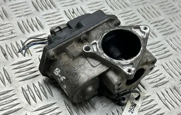 Volkswagen PASSAT B6 EGR valve 03G131501 216035358