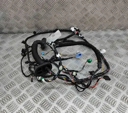 Tesla Model 3 Front door wiring loom 306796302C