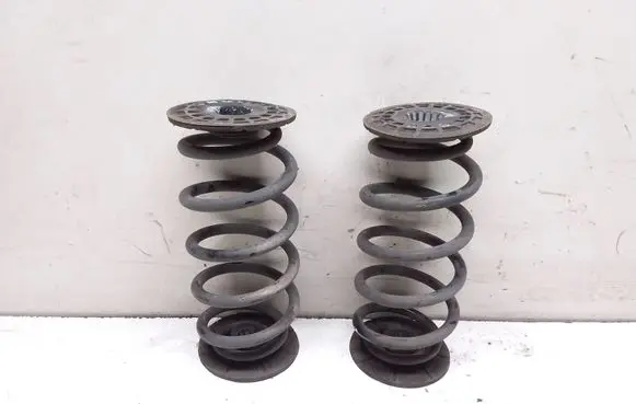 Opel Insignia A Rear coil spring