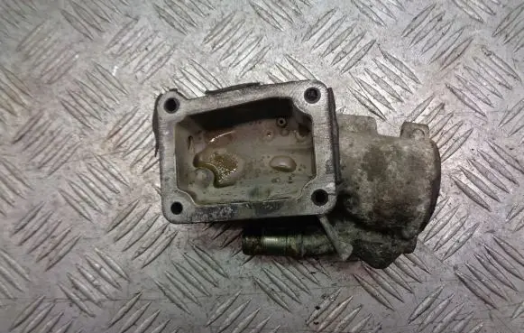 Citroen Berlingo Engine coolant pipe/hose