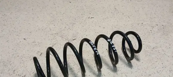 Rear coil spring