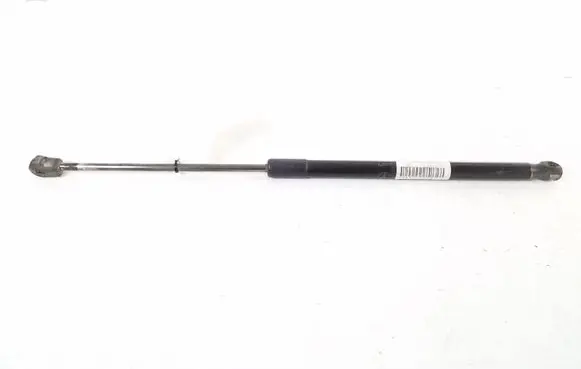 Mercedes-Benz A W169 Tailgate strut A1697400045