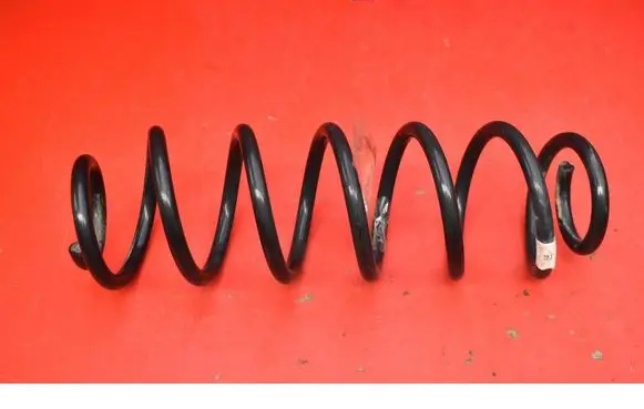 Rear coil spring