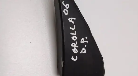 Fender trim (molding)