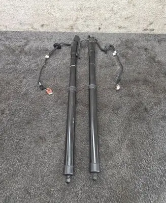 Renault Talisman Tailgate/trunk strut/damper 904524541R