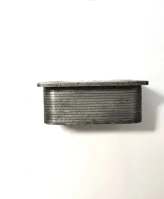 Nissan X-Trail T31 Engine oil radiator 6790972560