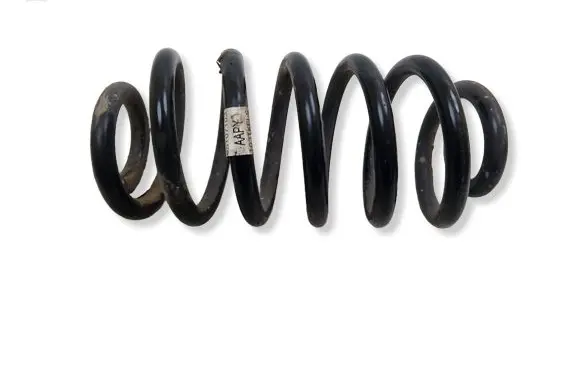 Opel Mokka Rear coil spring 95107103