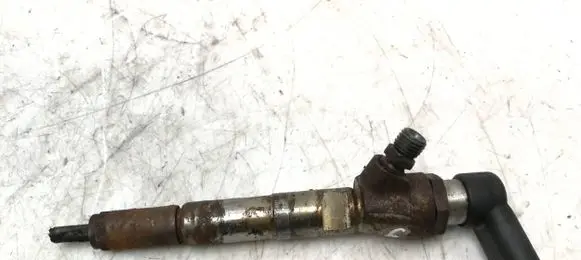 Renault Scenic III - Grand scenic III Fuel injector 166008052R 23938 H8200704191
