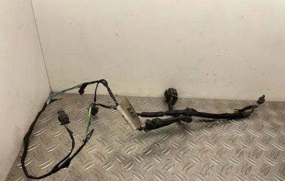 Ford C-MAX II Parking sensor (PDC) wiring loom AV6T15K868AAE