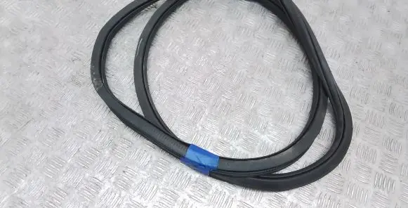 Volkswagen Jetta USA Rear door rubber seal (on body) 