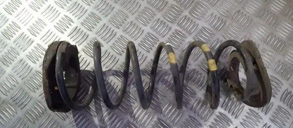 Hyundai i20 (PB PBT) Rear coil spring