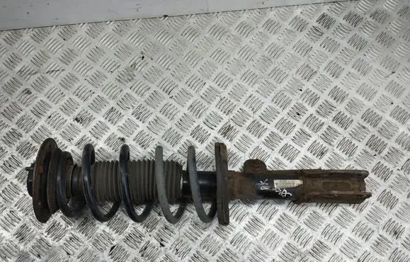 Opel Antara Front shock absorber/damper