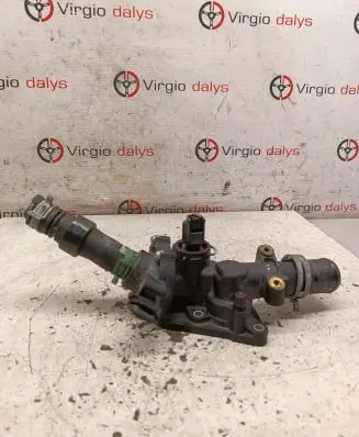 Thermostat/thermostat housing
